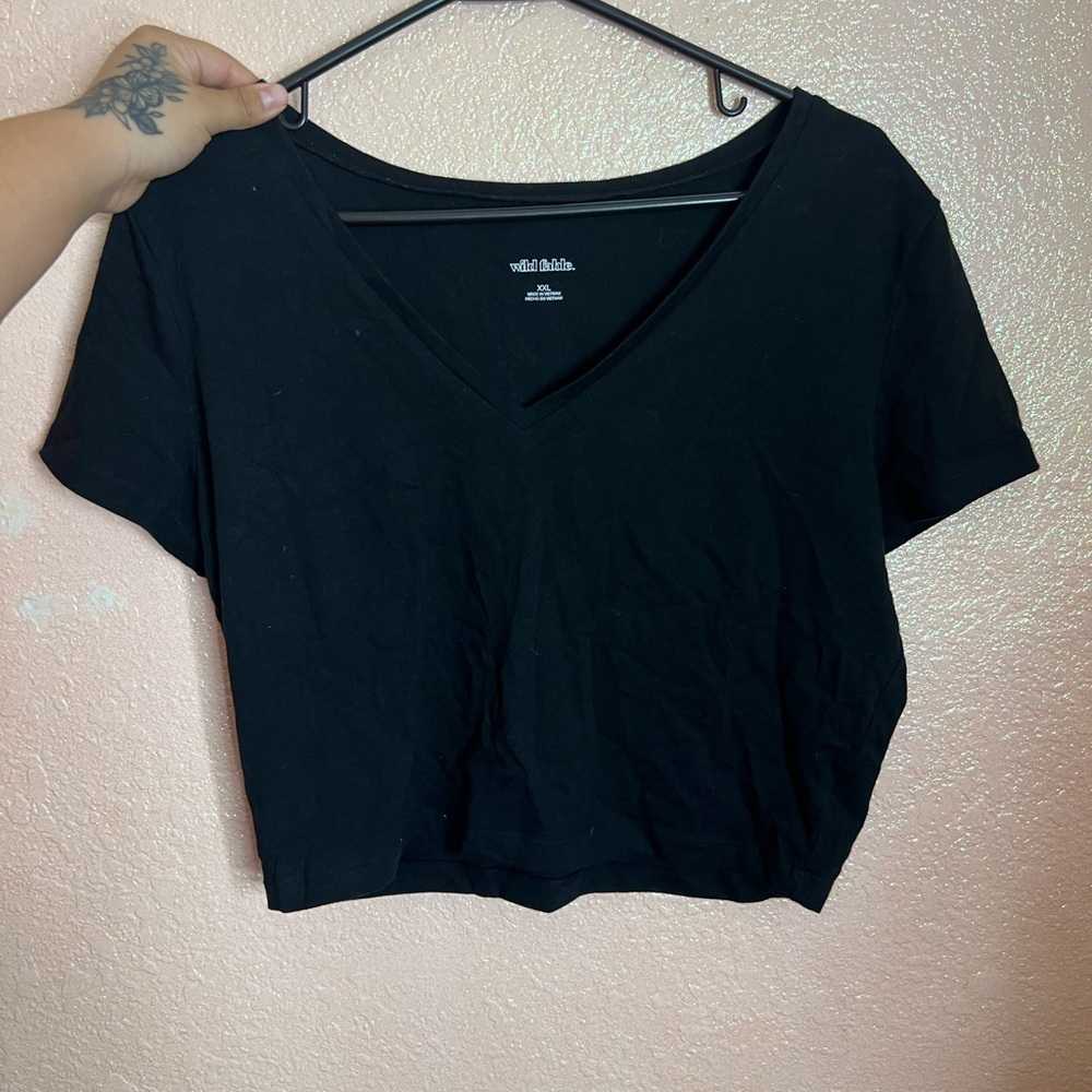 Wild fable v neck crop top